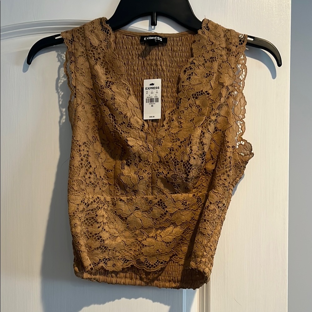 Express Brown Lace Fitted Crop Top